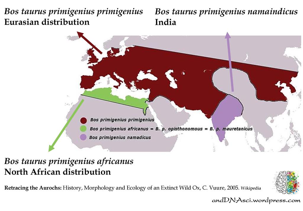 Historical distribution Auroch andDNAsci.wordpress.com Tanzelle Oberholster