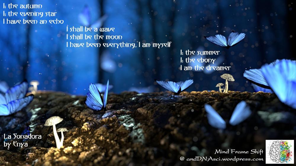 La Sonadora The Dreamer Enya Lyrics Translated English MindFrameShift Tanzelle Oberholster andDNAsci.wordpress