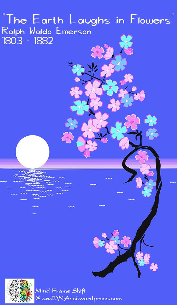 Moon, Flower, MindFrameShift, anddnasci.wordpress.com, Tanzelle Oberholster, convention, conditioning, breaking out, life, new, let go, release, relief, perspectives, lies, truth, living, freedom, choice, choose, old, bold, doing what your told, secret, false, dreams, happiness, fate, destiny, free will