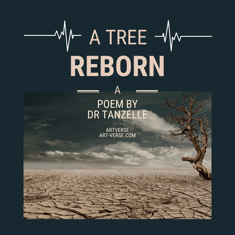 A Tree Reborn, artverse, art-verse.com, drabble, prose, literature, writing, inspirational, message, tanzelle oberholster, tree, nature, rebirth, renew, resurrection
