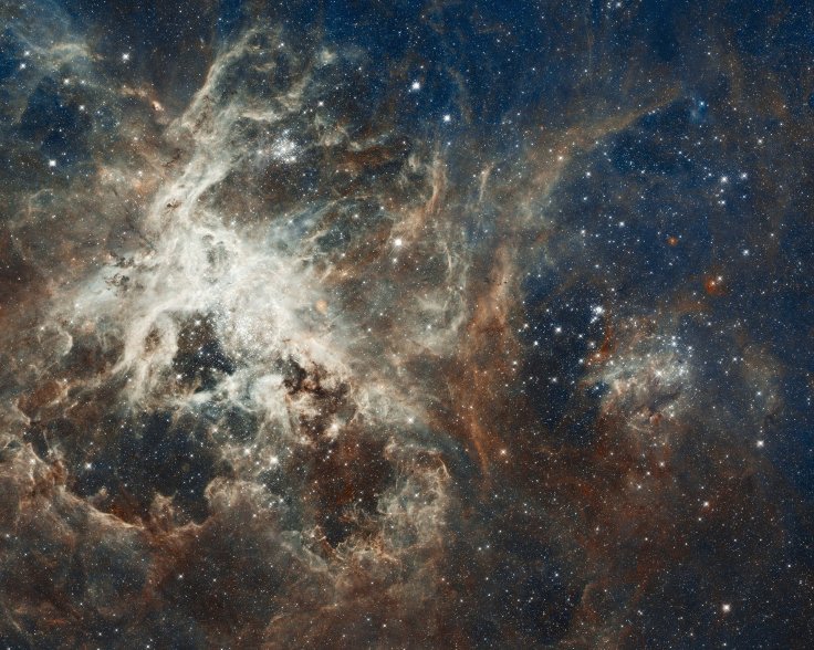 Tarantula, nebula, stars, gas, space, astronomy