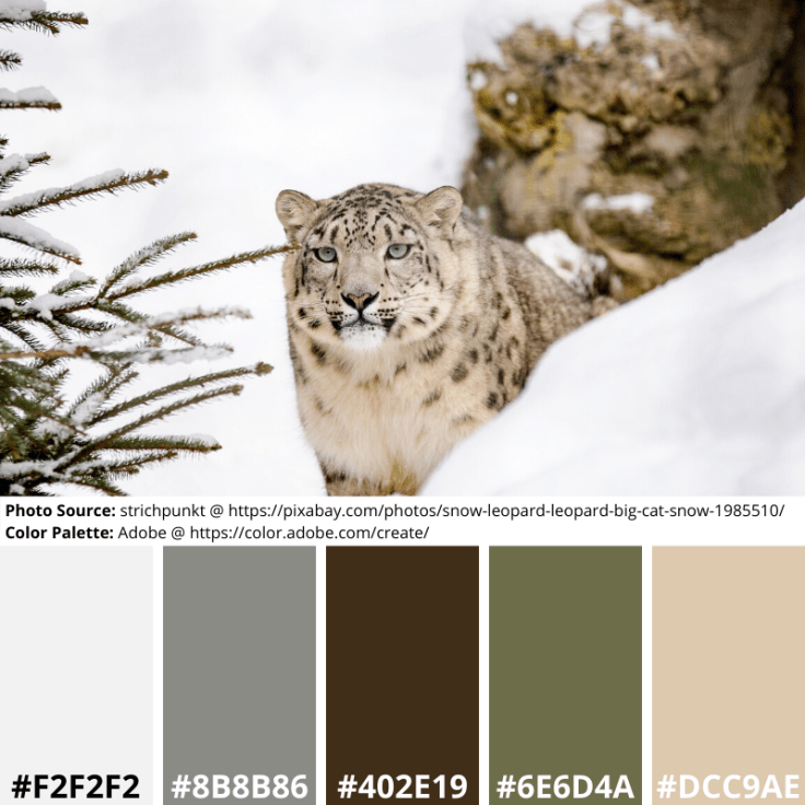 Snow Leopard, Mood Board, color palette