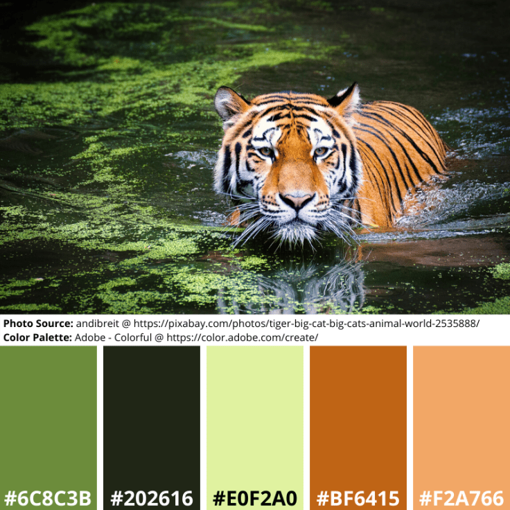 Swimming Tiger, Mood Board, color palette