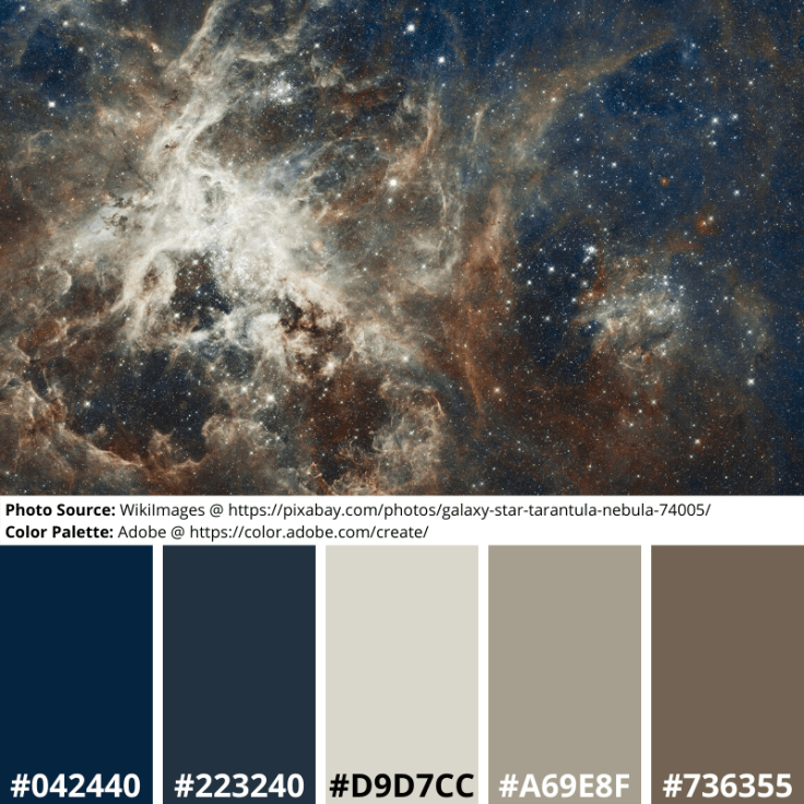 Tarantula, nebula, stars, gas, space, astronomy, blue, grey, brown, neutrals, mood boards, color palette