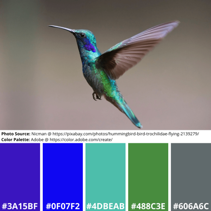 Humming, Mood Board, Colour Palette, purple, blue, green, silver